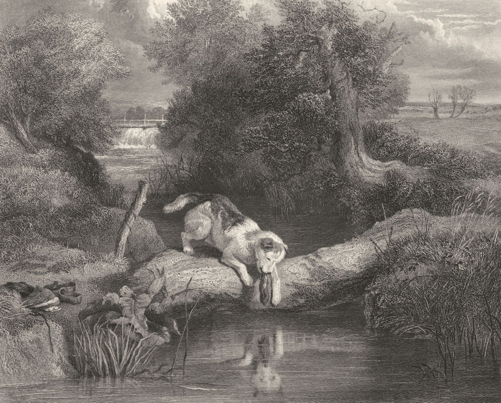 DOGS. The dog and the shadow-Landseer c1880 old antique vintage print picture